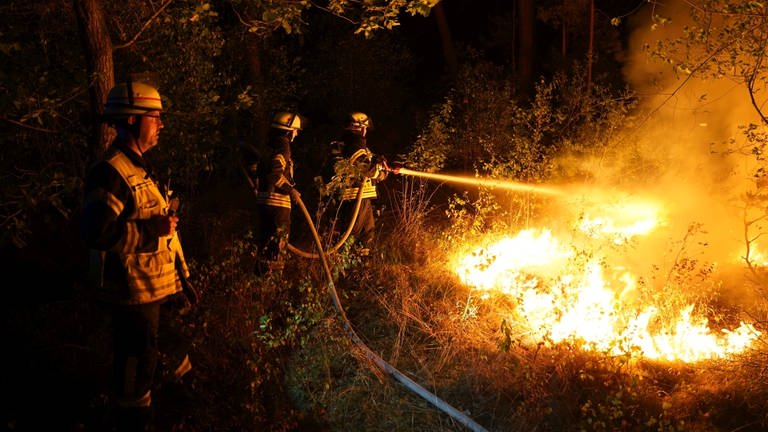 Feuerwehrleute löschen einen Waldbrand. (Foto: dpa Bildfunk, picture alliance/dpa/Feuerwehr Stadt Bleckede)