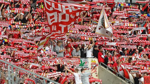 Mainzer Fans in Sinsheim  (Foto: IMAGO, Imago / Eibner)