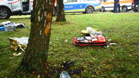 Bild vom Einsatzort nach dem Unfall bei der Pferdewallfahrt in Malsch (Rhein-Neckar-Kreis) (Foto: Priebe/pr-video)