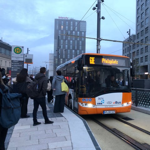 Ein Bus hält an der erneuerten Haltestelle am Mannheimer Hauptbahnhof (Foto: SWR)