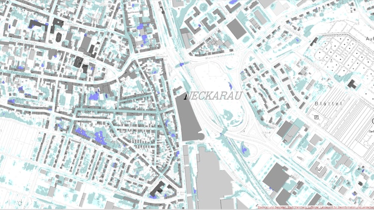 Starkregenkarte der Stadt Mannheim (Foto: Stadt Mannheim)