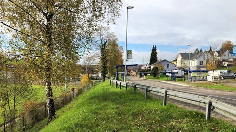 Neuer Radweg in Wiesenbach (Foto: SWR)