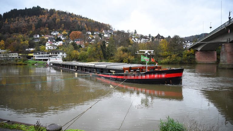 Festgefahrenes Schiff bei Eberbach (Foto: SWR)