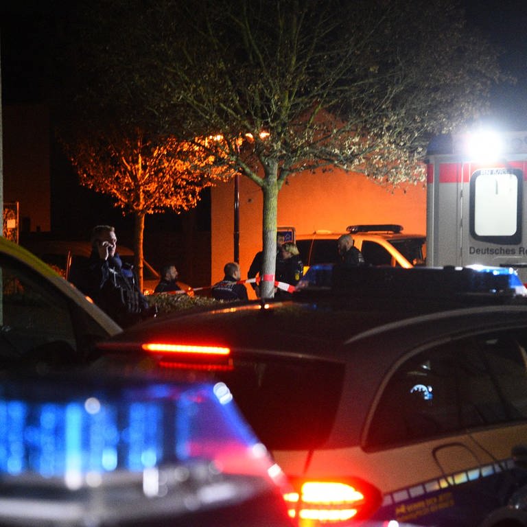 Polizei, Blaulicht und Rotes-Kreuz-Rettungswagen in Hockenheim  (Foto: Marco Priebe, PR-Video)