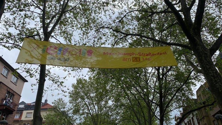 "Vielfalt statt Einfalt"-Banner zwischen Bäumen in Max-Joseph-Straße in Mannheim (Foto: SWR)