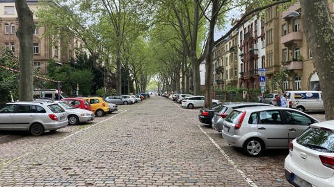  Max-Joseph-Straße in der Neckarstadt-Ost in Mannheim mit Bäumen und Autos (Foto: SWR)