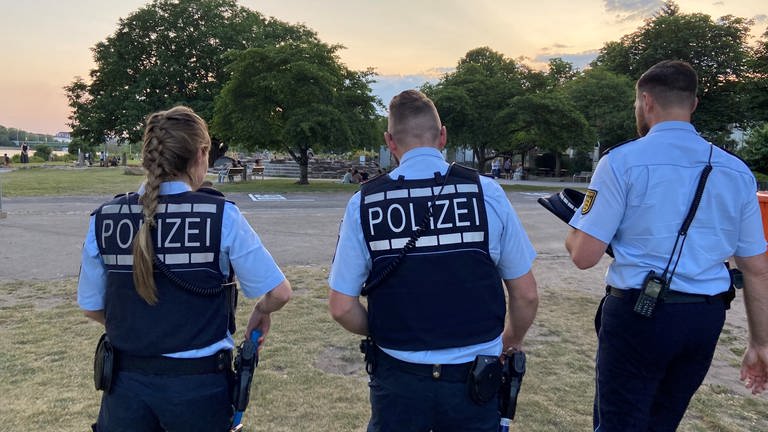 Drei Polizeibeamte laufen über die Neckarwiese (Foto: SWR)