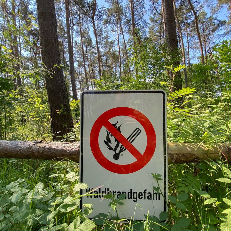 In einem Wald steht ein Schild mit der Aufschrift "Waldbrandgefahr" sowie einem Zeichen, dass Rauchverbot herrscht. (Foto: dpa Bildfunk, picture alliance/dpa | Julian Stratenschulte)