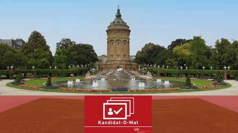 Kandidat-o-Mat zur OB-Wahl in Mannheim (Foto: SWR)