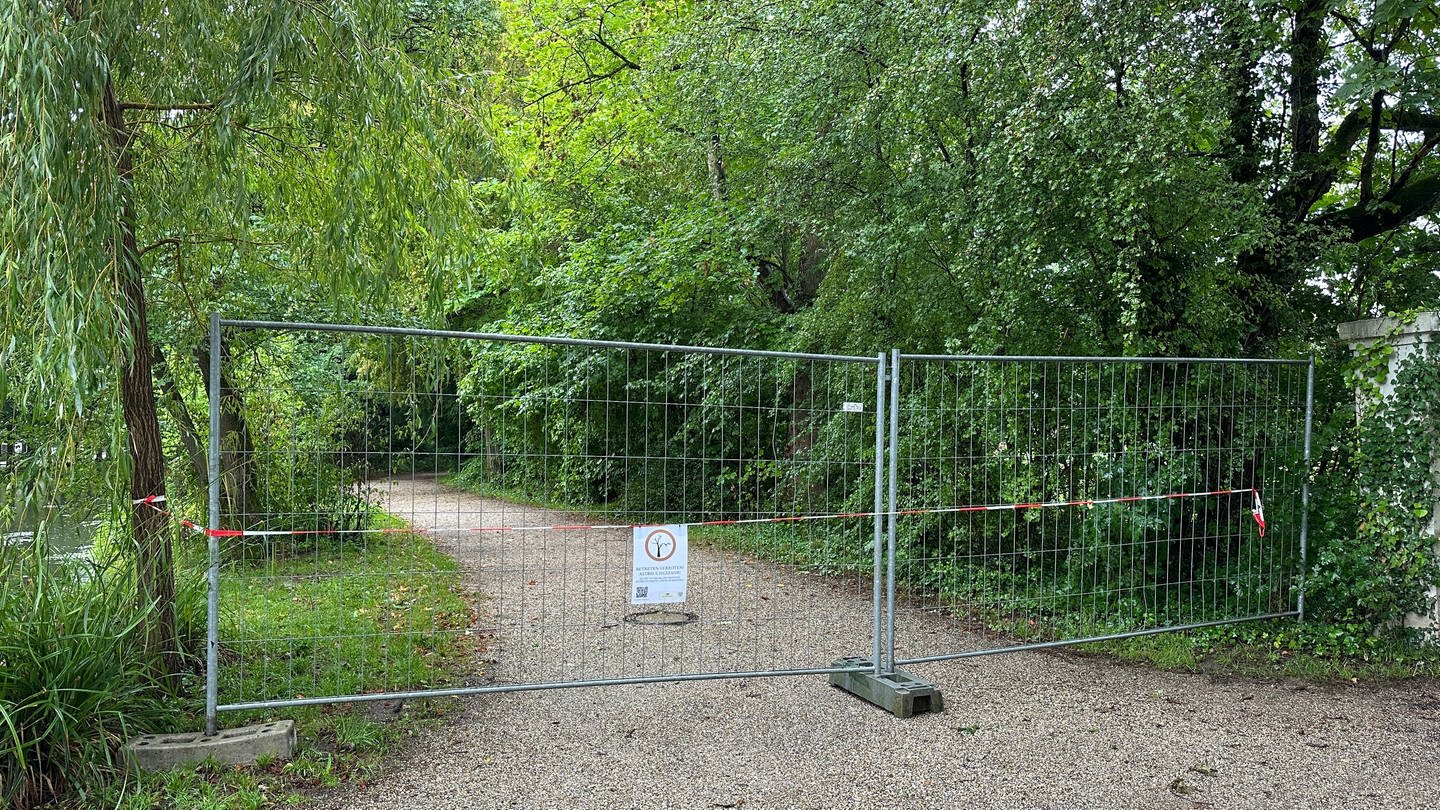 Schwetzinger Schlossgarten teilweise gesperrt wegen Astbruch Gefahr (Foto: SWR)