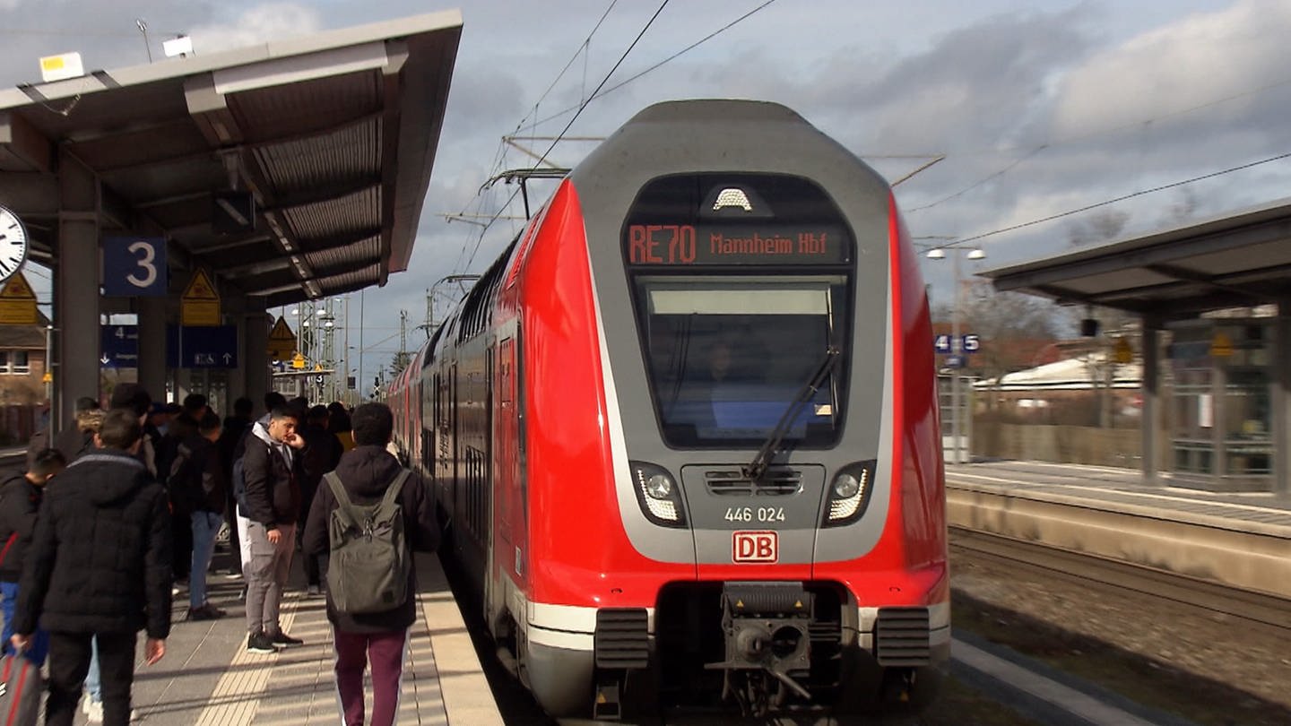 Riedbahn-Sanierung zwischen Frankfurt und Mannheim (Foto: SWR)