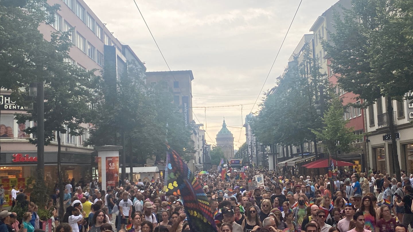Der Christopher Street Day (CSD) in Mannheim 2023. (Foto: SWR, Sarah Hennings)