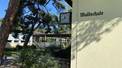 Schulgebäude in Mannheim mit Aufschrift Waldschule mit Uhr (Foto: SWR)