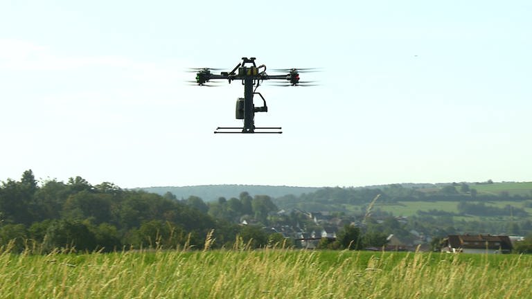 Eine Drohne schwebt über einer Wiese (Foto: SWR)