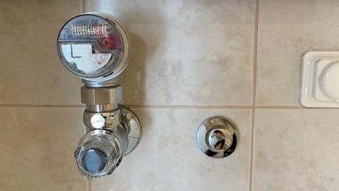 Wasserzähler im Badezimmer (Foto: SWR)