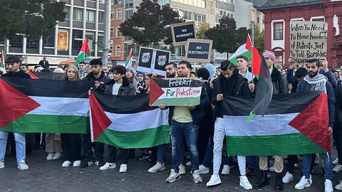 Pro-Palästina-Demo in Mannheim (Foto: SWR, Monika Regelin)