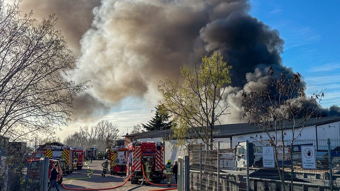 Eine Lagerhalle steht in Flammen, es raucht stark. Mehrere Feuerwehrwagen stehen am Einsatzort. (Foto: Einsatz-Report24)