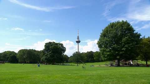 Ausflugstipp Luisenpark (Foto: SWR)