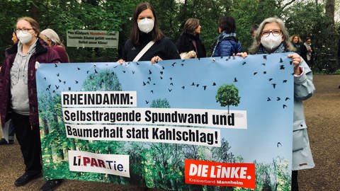 Mit einer Mahnwache und einer Menschenkette haben am Sonntag in Mannheim rund 1.500 Menschen gegen Baumfällungen protestiert, die zur Sanierung des Rheindamms in Mannheim geplant sind.  (Foto: SWR, Monika Regelin)