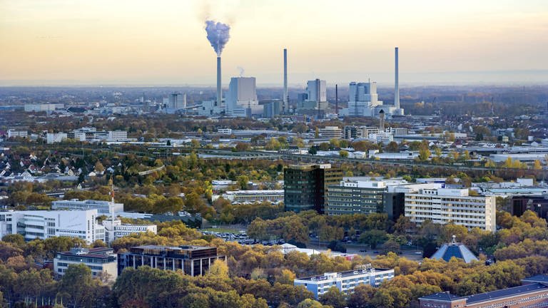 Blick über Mannheim von Luisenpark bis zum Großkraftwerk GKM. (Foto: IMAGO, IMAGO / Arnulf Hettrich)