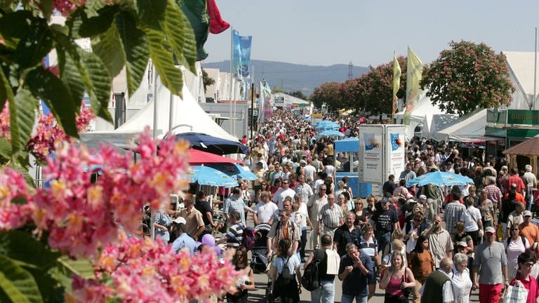 Viele Besucher bei schönem Wetter auf dem Maimarkt 2022 (Foto: SWR)