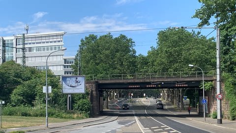 Östliche Riedbahn in Mannheim (Foto: SWR, Scharff)