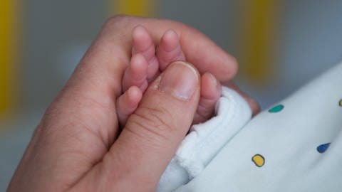 Die Hand eines Erwachsenen hält eine Baby-Hand (Foto: dpa Bildfunk, Fotograf:Arno Burgi)