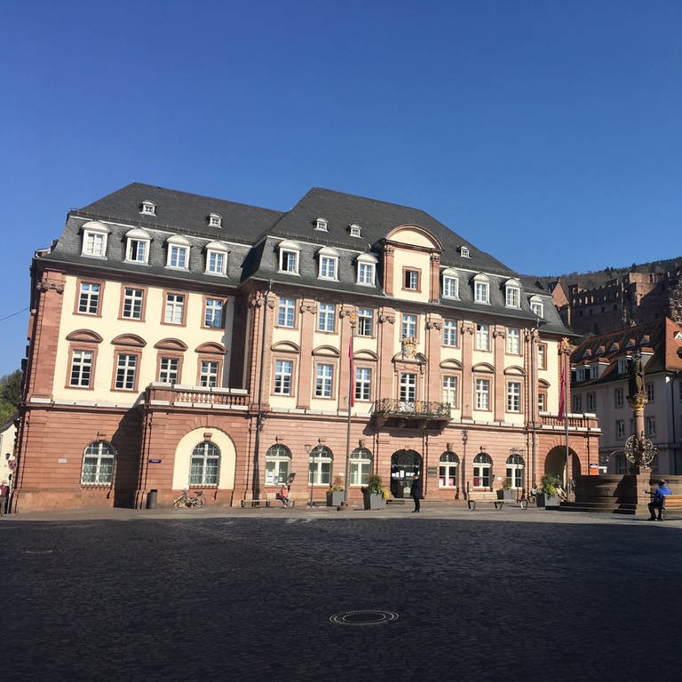 Rathaus Heidelberg: Wer wird Oberbürgermeister?