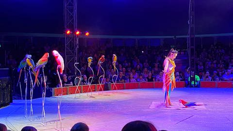 Zirkus Charles Knie Artistin mit Papagein in der Manege (Foto: SWR)