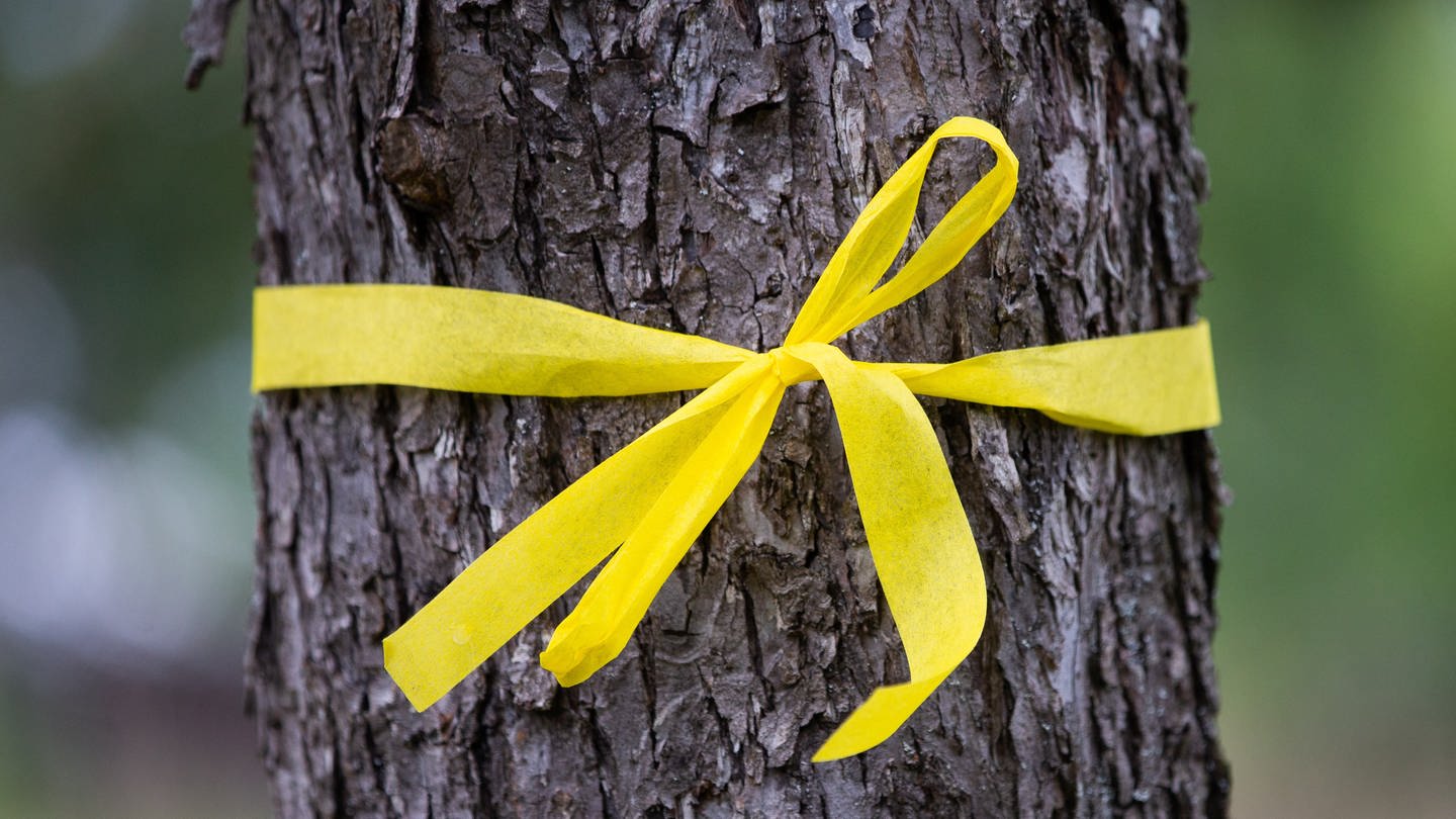 Ein gelbes Band um den Baum bedeutet eine Einladung zum Obsternten (Foto: dpa Bildfunk, Picture Alliance)