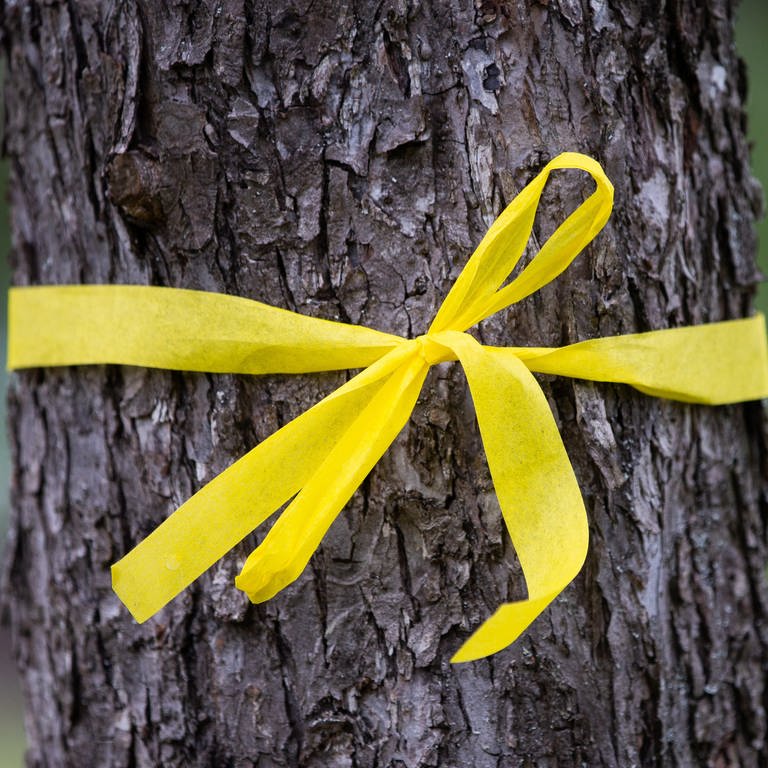Ein gelbes Band um den Baum bedeutet eine Einladung zum Obsternten