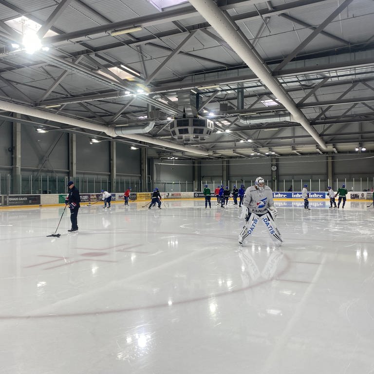 Wieder zurück auf dem Eis. Trainingsauftakt der Adler Mannheim. Spieler laufen sich warm auf der Eisfläche (Foto: SWR)