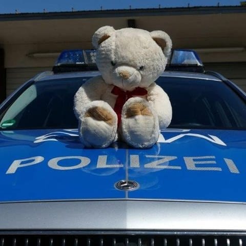 Verlorener Teddybär (Foto: Polizei Mannheim)