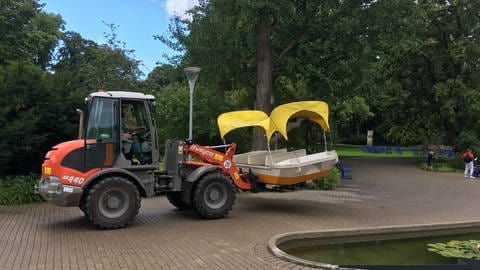 Luisenpark Mannheim - Eine Gondoletta wird von einem Radlader transportiert. (Foto: SWR)