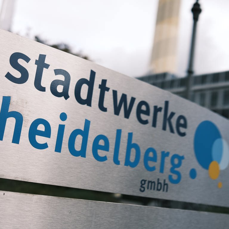 Stadtwerke Heidelberg (Foto: SWR)