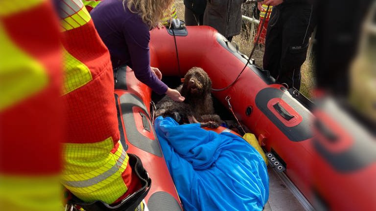 Hund in rotem Boot der Feuerwehr in Obrigheim (Foto: FFW Obrigheim)