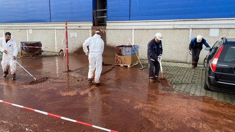 Personen kehren Kakao nach Brand bei Mannheimer Unternehmen Olam weg (Foto: SWR)