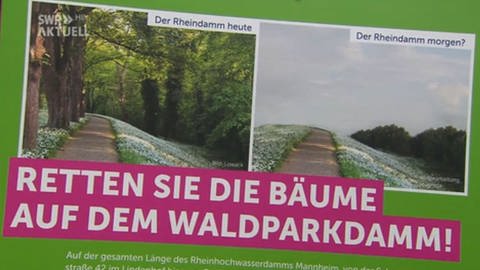 Plakat zur Rettung der Bäume auf dem Rheindamm (Foto: SWR)