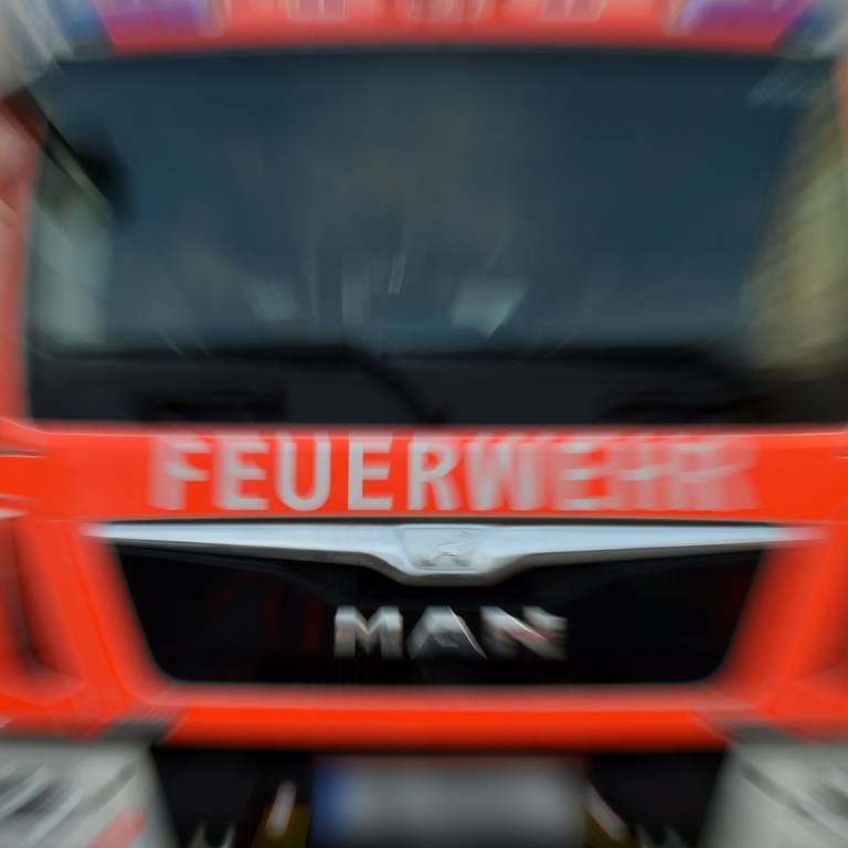 Feuerwehrauto (Foto: dpa Bildfunk, picture alliance / Britta Pedersen / dpa)
