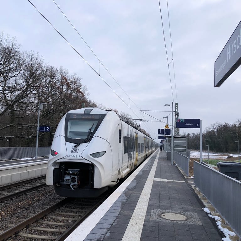 Inbetriebnahme des neuen Bahnhofs Schwetzingen-Hirschacker (Foto: SWR)