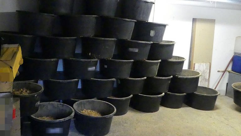 Bottiche mit Rauchtabak zur illegalen Herstellung von Shisha-Tabak wurden in Ludwigshafen beschlagnahmt (Foto: Zollfahndungsamt Frankfurt am Main)
