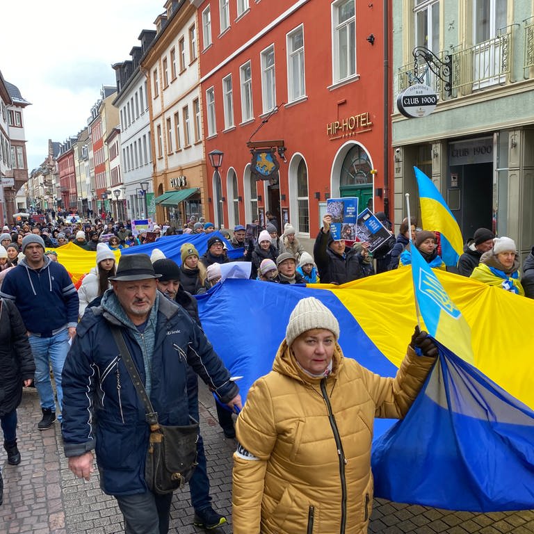 Demonstranten laufen durch die Heidelberger Fußgängerzone und tragen Fahnen und Plakate.  (Foto: SWR)