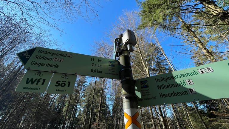Der kleine Sensor sendet bei Waldbrandgefahr Signale zum Teltschickturm (Foto: SWR)