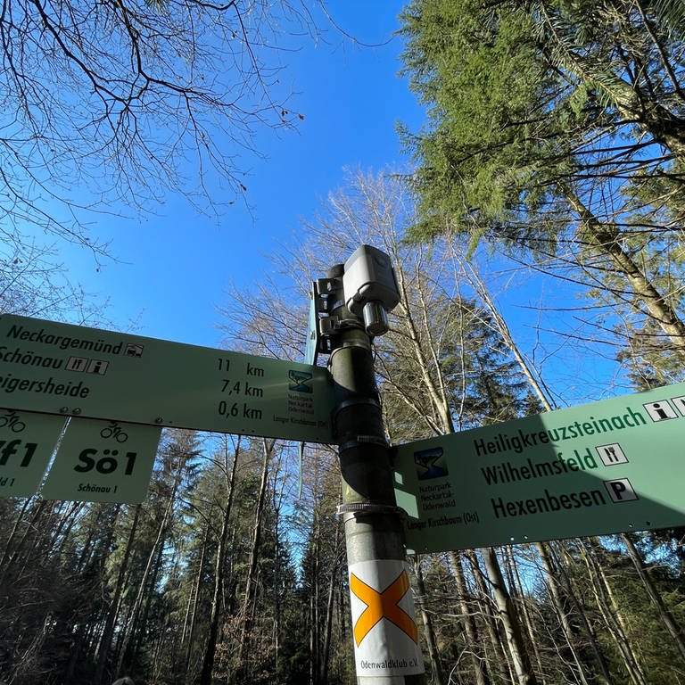 Der kleine Sensor sendet bei Waldbrandgefahr Signale zum Teltschickturm (Foto: SWR)