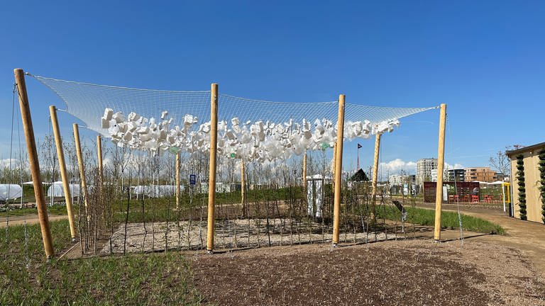 Stangen mit Netz und Beet auf Bundesgartenschau in Mannheim (Foto: SWR)
