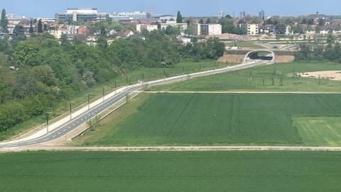 Blick aus der Mannheimer BUGA-Seilbahn auf den Radschnellweg (Foto: SWR)