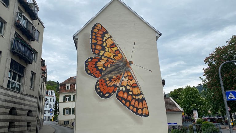 Ein Schmetterling an einer Hauswand.  (Foto: SWR)