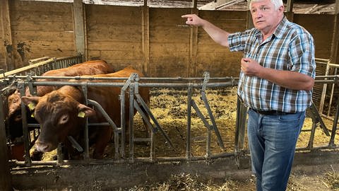 Bierhelderhofbetreiber Peter Schumacher wehrt sich gegen Vorwürfe der Tierquälerei (Foto: SWR)