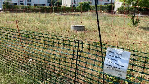 Ein Schutz- und ein Elektrozaun umgrenzen das Brutgebiet der Haubenlerche (Foto: SWR, 9999999)