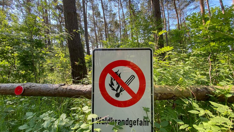 In einem Wald steht ein Schild mit der Aufschrift "Waldbrandgefahr" sowie einem Zeichen, dass Rauchverbot herrscht.